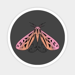 Dusty pink moth with spread wings cute gift Magnet